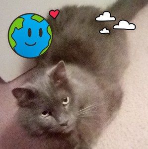 Meet your Posher, Tabitha